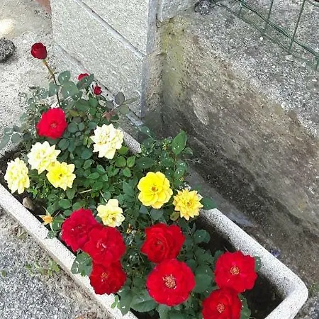 Oasi Di Relax In Valpellice Apartman